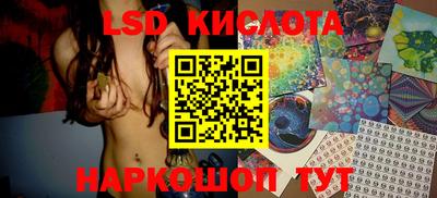 spice Кингисепп