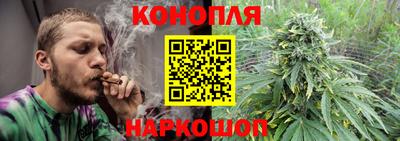 spice Кингисепп