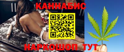 spice Кингисепп