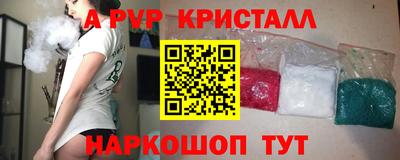 spice Кингисепп