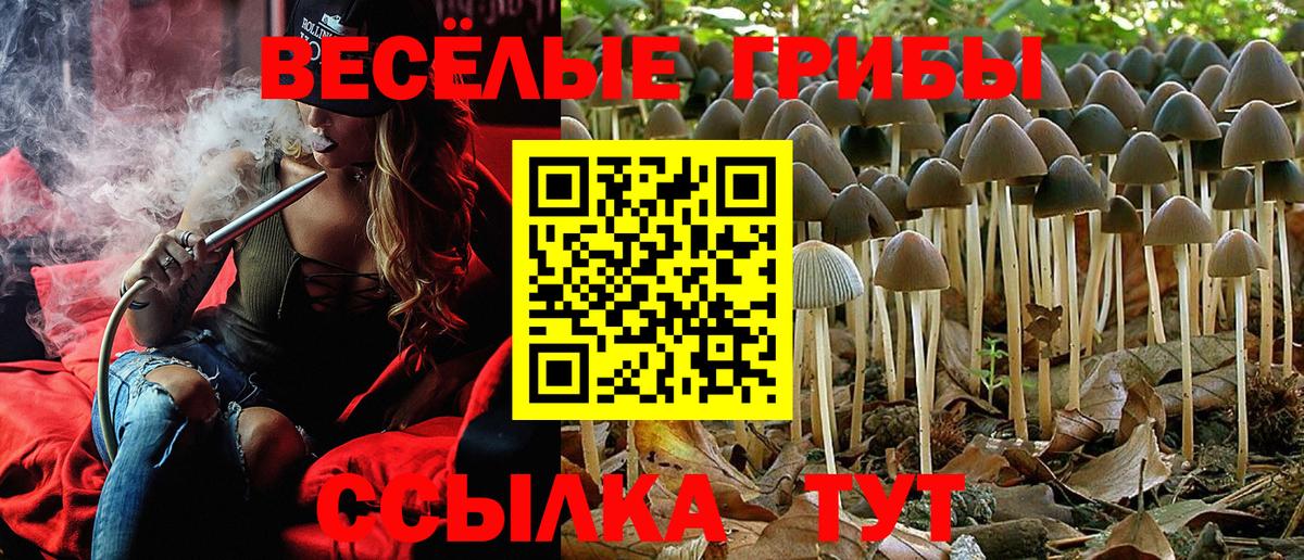 Галлюциногенные грибы MAGIC MUSHROOMS  Вход с VPN  Армавир  Псилоцибиновые грибы Magic Shrooms 